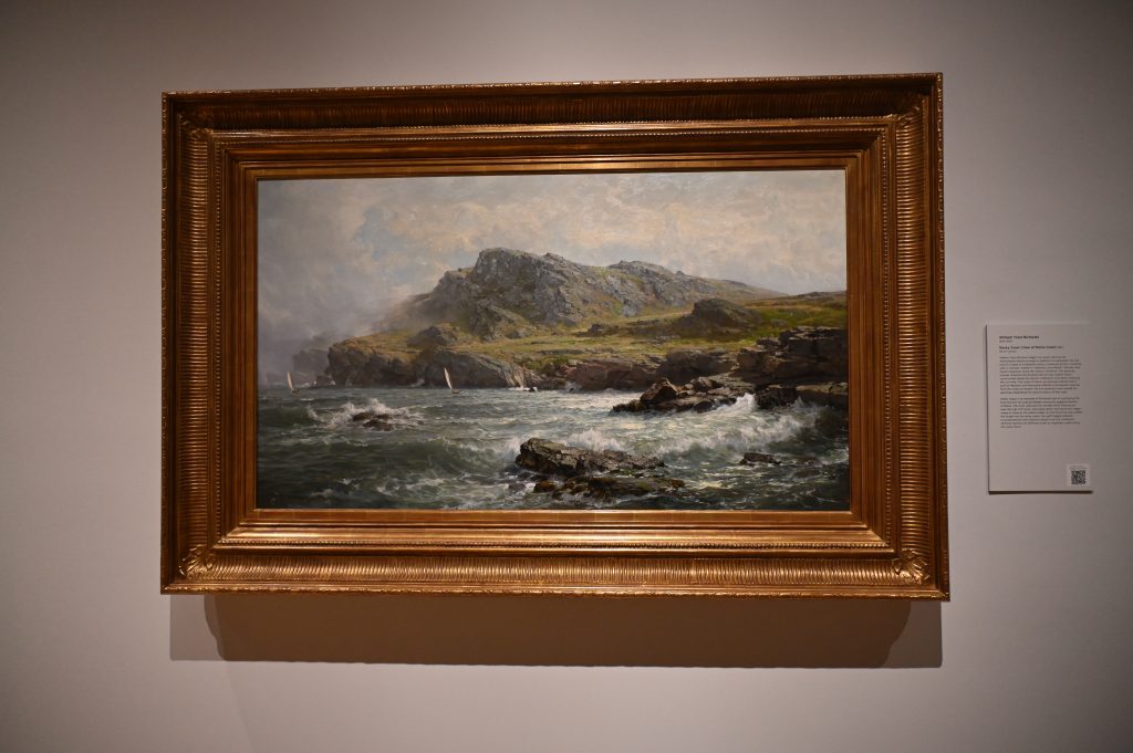 "Rocky Coast"