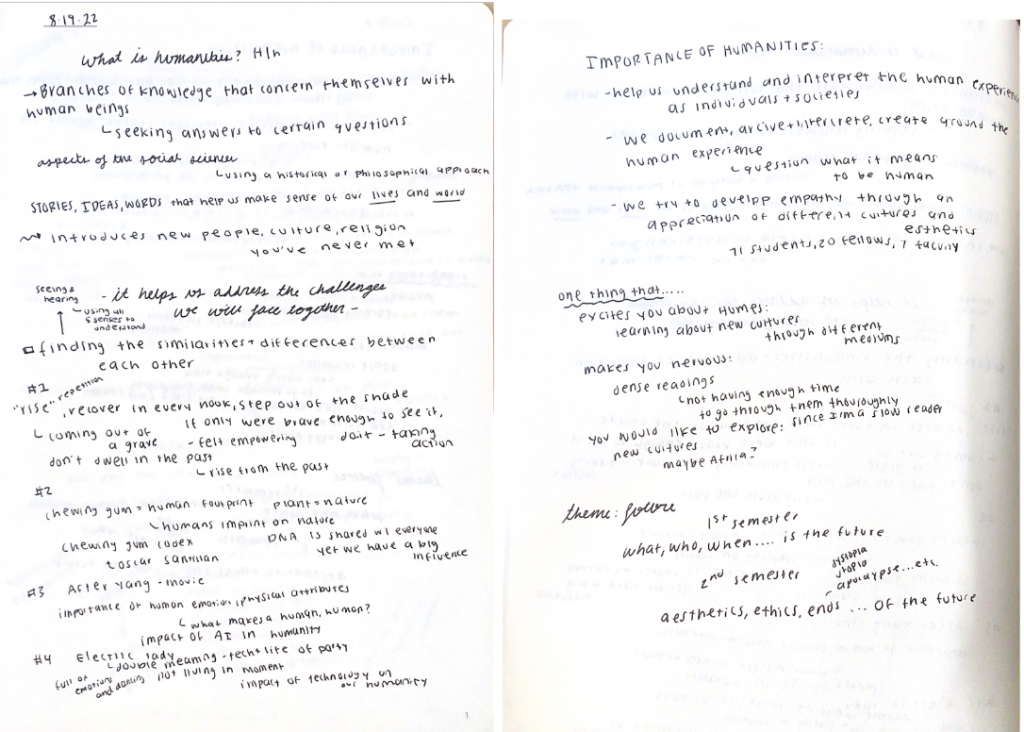 Humanities notes from red book