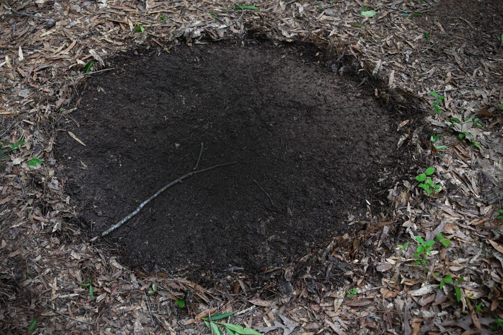 PROCESS OF MAKING EARTH ART