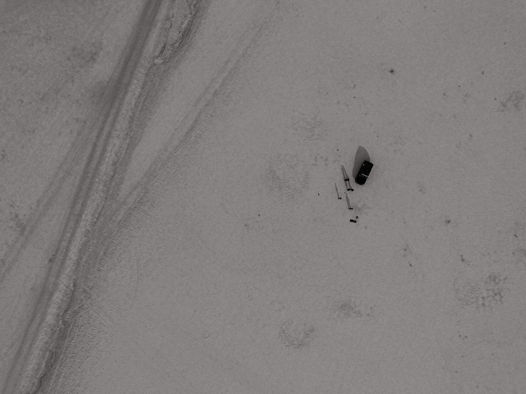 birds eye